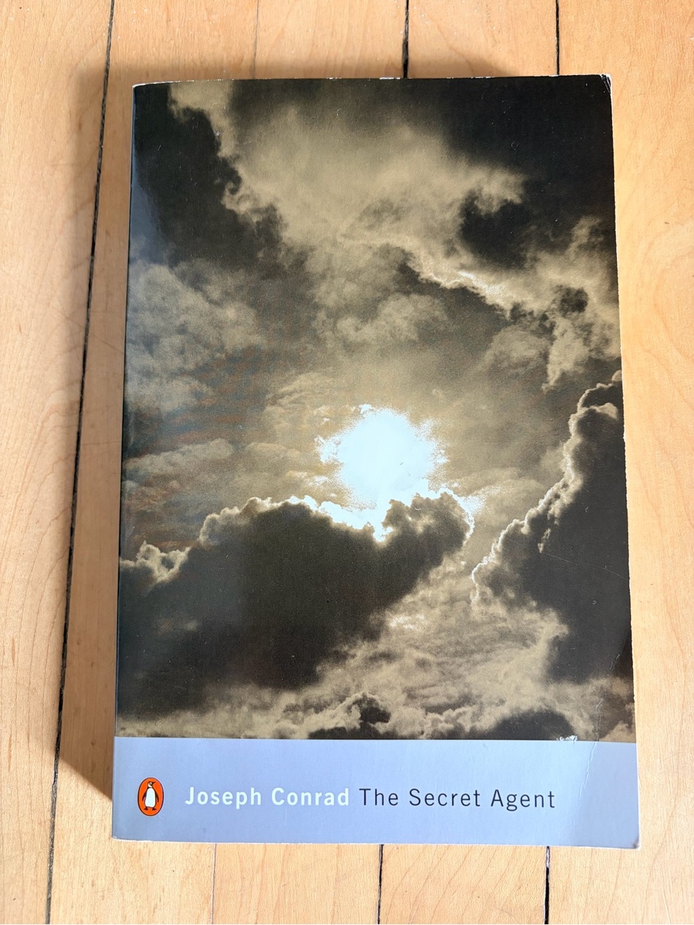 The Secret Agent by Joseph Conrad